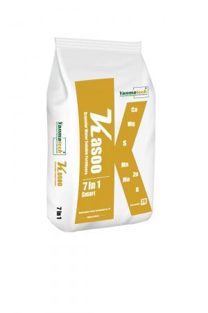 Kasoo-Smart - 副本